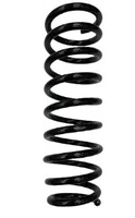 ESPIRAL TRASERO
