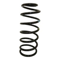 ESPIRAL TRASERO