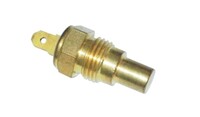 AMPOLLETA DE TEMPERATURA
