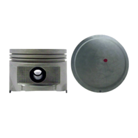 PISTON 0.25MM/0.010"